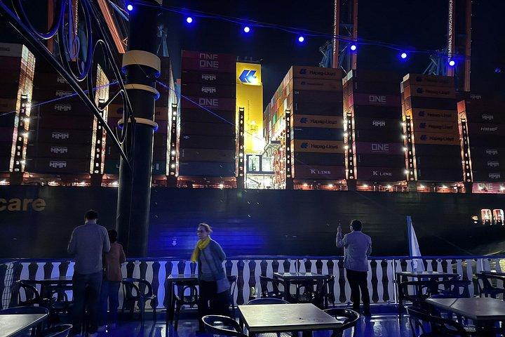 ハンブルク シュパイヒャーシュタットへの90分の夜のライトアップツアー