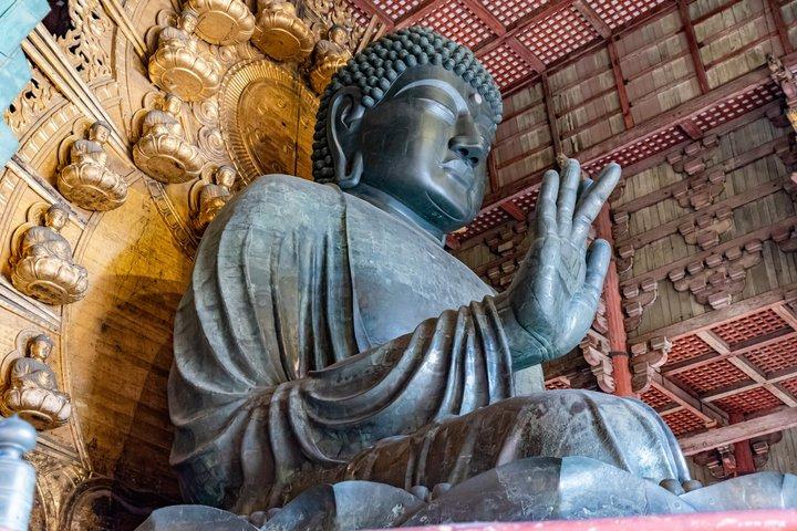 Nara Halbtagestour mit Guide auf Englisch