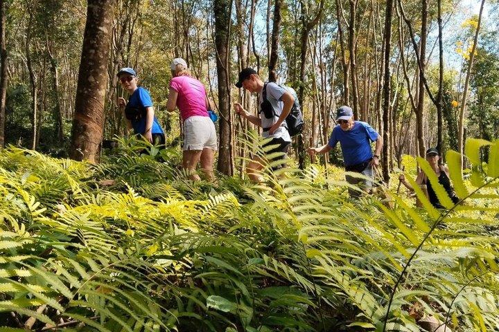 Trekking privado em Koh Chang com transferência de hotel