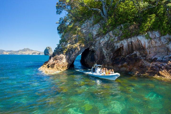 Whitianga : Cathedral Cove Thrilling Boat Tour, Cuevas & Snorkeling