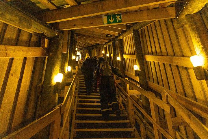 ピヘ・ルオスト国立公園＆アメジスト鉱山日帰り旅行-ロヴァニエミ