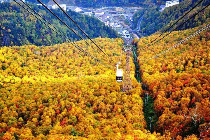 Kurodake Ropeway, Asahiyama Zoo Autumn Leaves Bus Tour