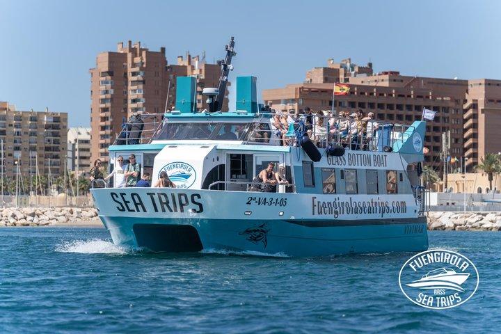 Delfinbeobachtung auf einem Katamaran in Fuengirola