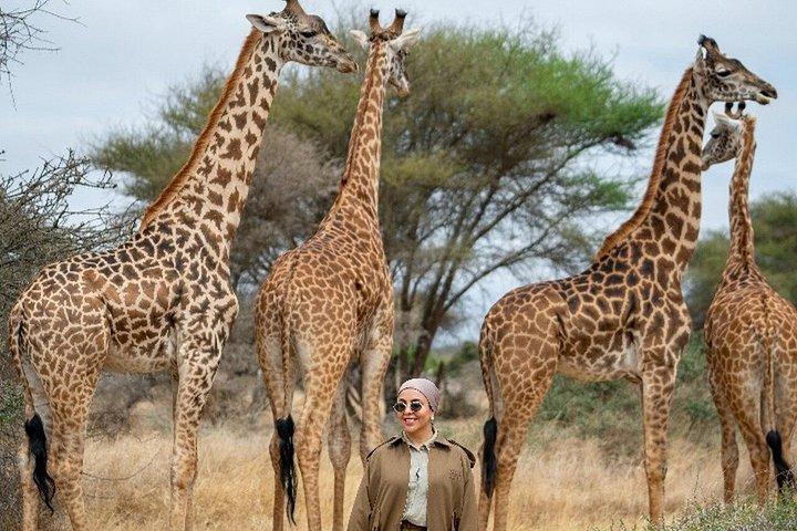 Serval Wildlife and Chemka Hot Springs Day Trip from Arusha