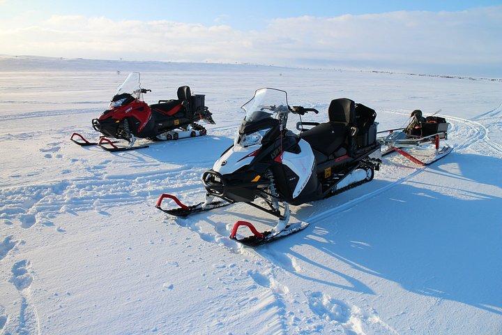 Læs mere om Tundra - Saariselkä