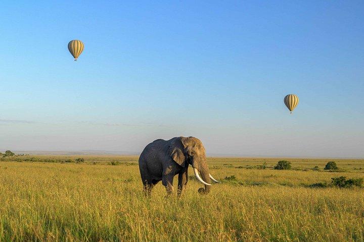 Den ultimative Mara Balloon oplevelse