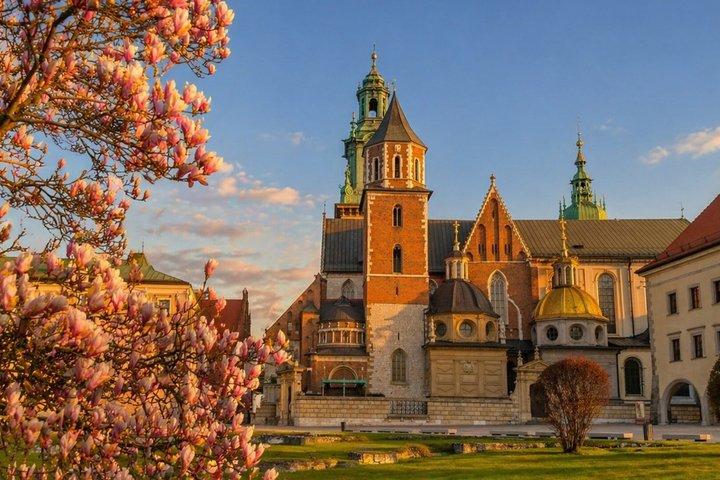 Cracóvia: Wawel Hill Audio Guided Tour