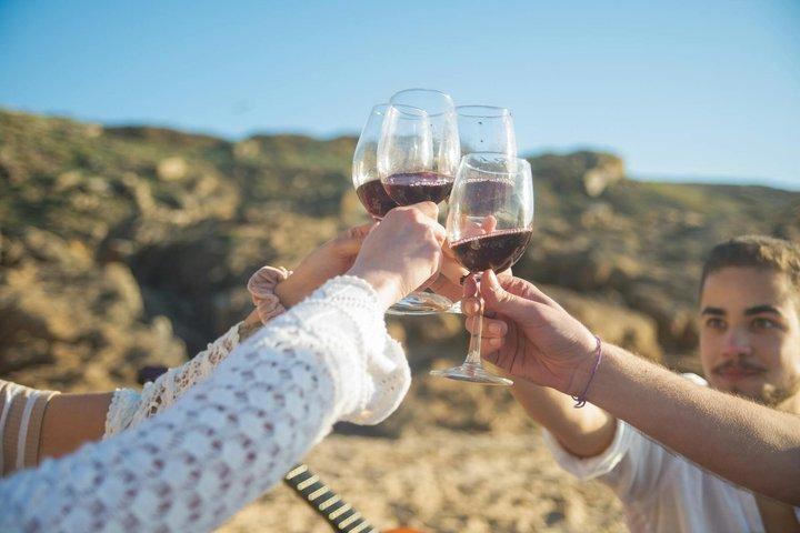 Vin och Cava Tour i Penedes från Barcelona med Hotel Pickup