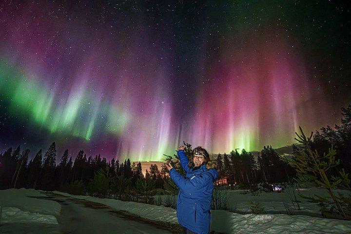 Privétour Aurora (1 - 4) - Saariselkä