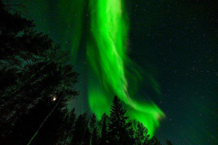 Privétour Aurora (1 - 4) - Saariselkä