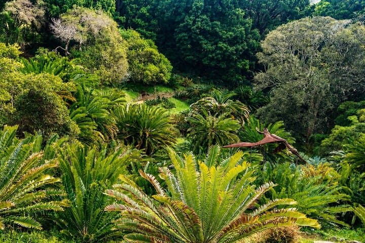 Cape Town: Kirstenbosch, Groot Constantia & Steenberg Wine Estate