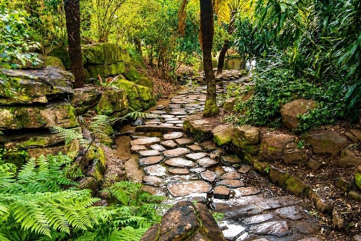 Cape Town: Kirstenbosch, Groot Constantia & Steenberg Wine Estate