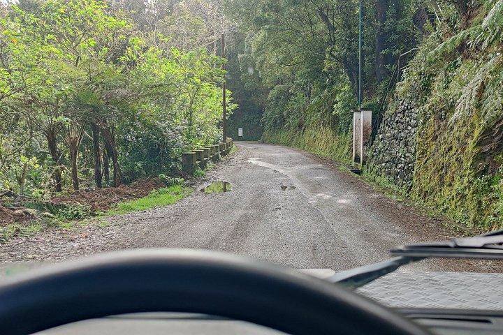 Funchal 4x4 og Whale Watching Combo-eventyr