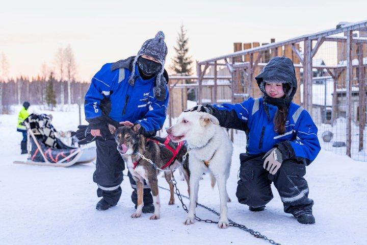 Visita a la granja Husky con Husky Safari - Saariselkä