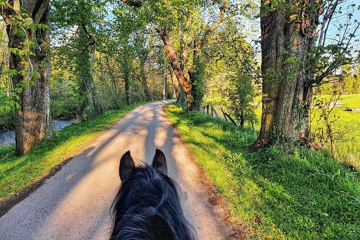 Andean Horseback Riding Experience Near Bogotá