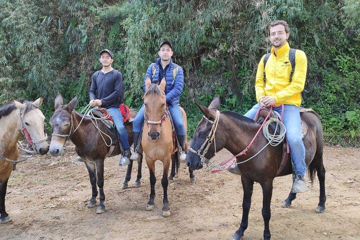 Andean Horseback Riding Experience Near Bogotá