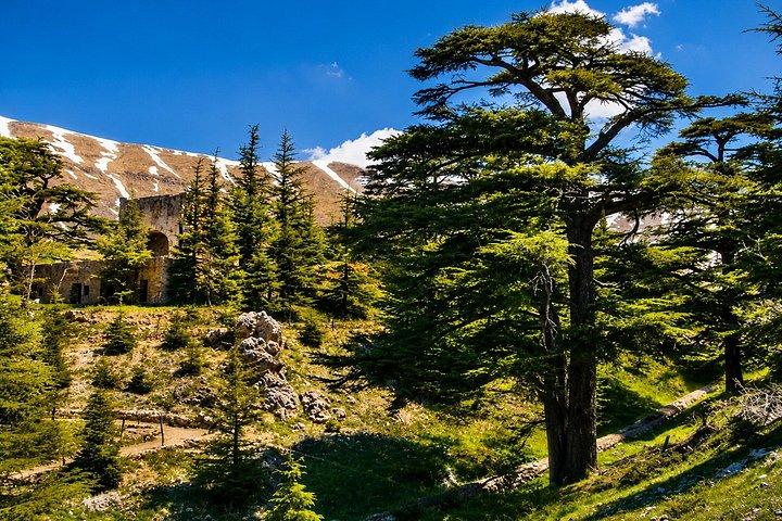 Private Beiteddine, Barouk Cedars Hike & Deir el Qamar | Beirut