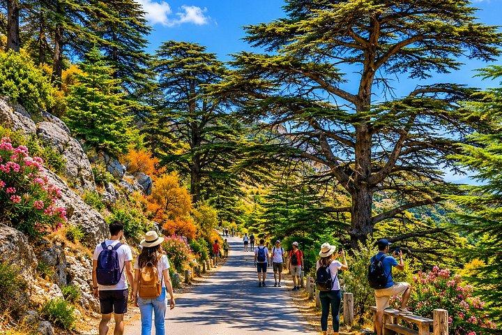 Private Beiteddine, Barouk Cedars Hike & Deir el Qamar | Beirut