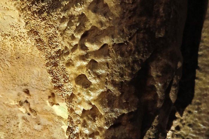 Grotte Castello e Costa Tour privato