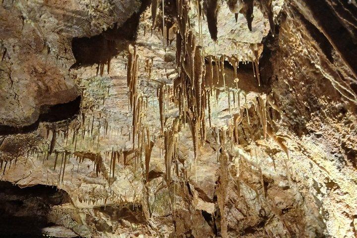 Grotte Castello e Costa Tour privato