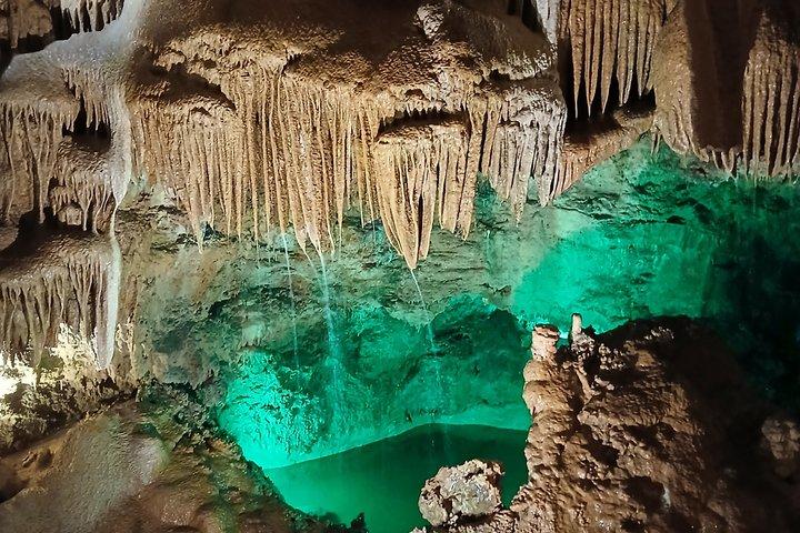 Caves Castle och Coast Privat rundtur