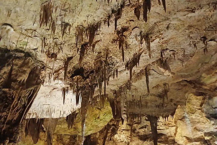 Grotte Castello e Costa Tour privato
