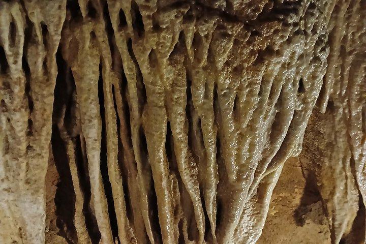 Grotte Castello e Costa Tour privato
