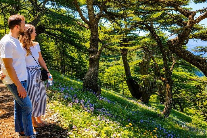 Hoteller i nærheden af Barok Cedars Hike & Deir el Qamar | Beirut