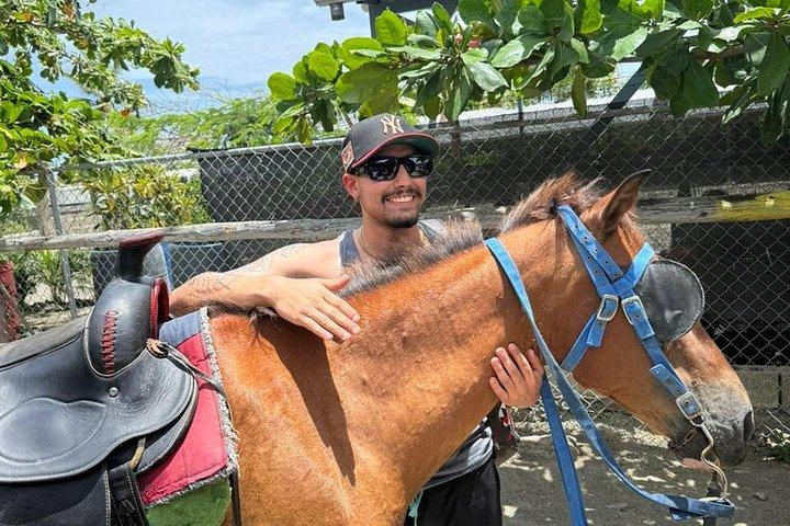 田園地帯やビーチを馬で巡る