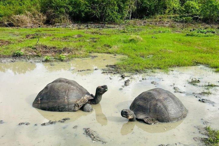 "Galapagos Discovery Premium – Bugttur - 4 dage / 3 nætter"