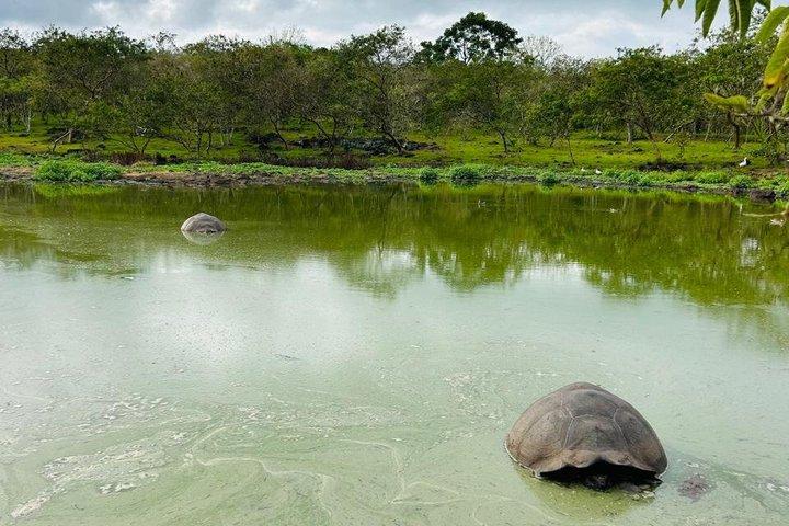 "Galapagos Discovery Premium – Bugttur - 4 dage / 3 nætter"
