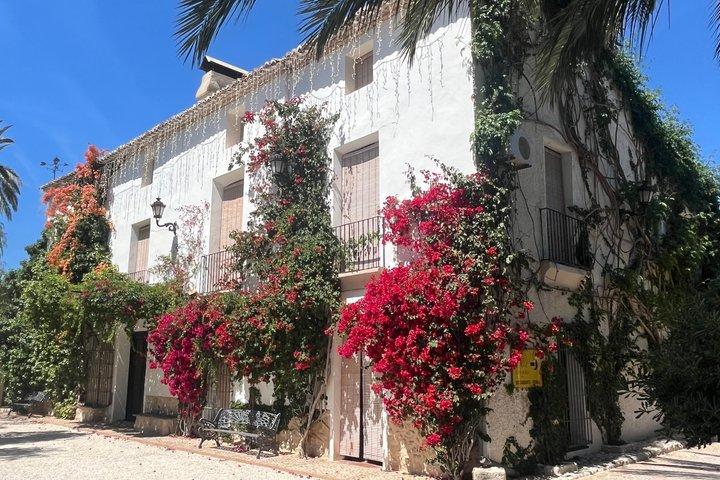 Alicante: Rota dos Vinhos com degustações e aperitivos