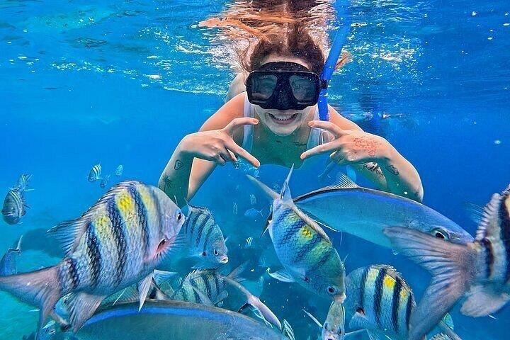 El Cielo Cozumel Tour Snorkling och rundturer och lunch
