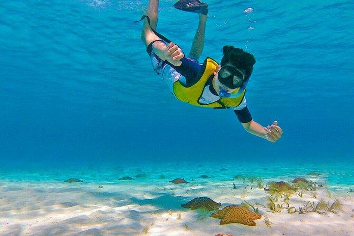 El Cielo Cozumel Tour Snorkling och rundturer och lunch