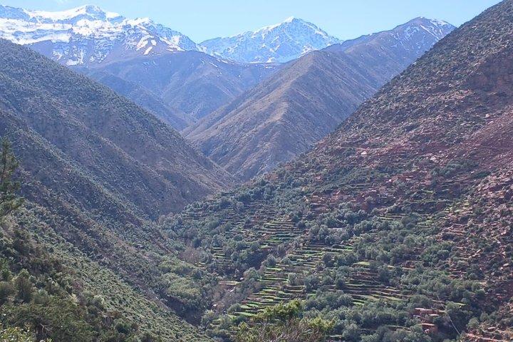 Tour privato della valle di Ourika Villaggi berberi e pranzo