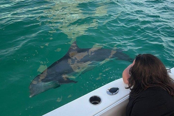 Delfines privados de la isla del cangrejo Snorkeling Sunset All Inclusive