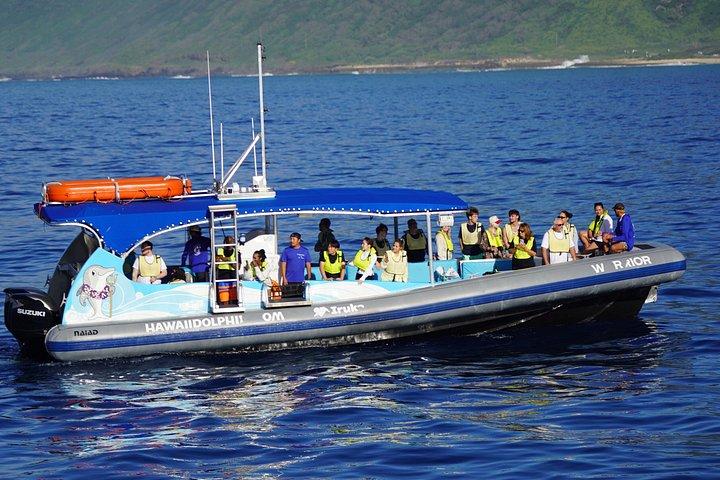 オアフ島で野生のイルカと泳ぐスピードボートアドベンチャー