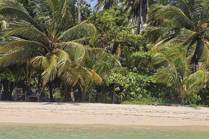 Sonny Island Beach Day Trip - Isla del Sol