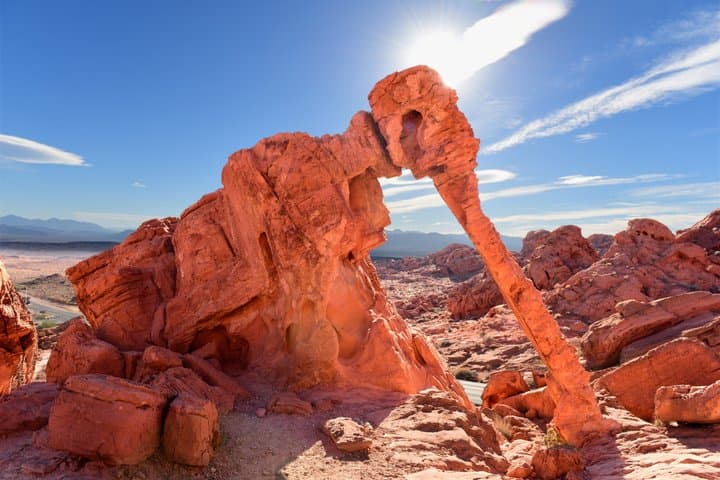 Valley of Fire/ Mojave Desert VIP Small Group Tour From Las Vegas