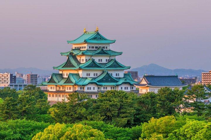 Excursión de un día a Nagoya desde Osaka