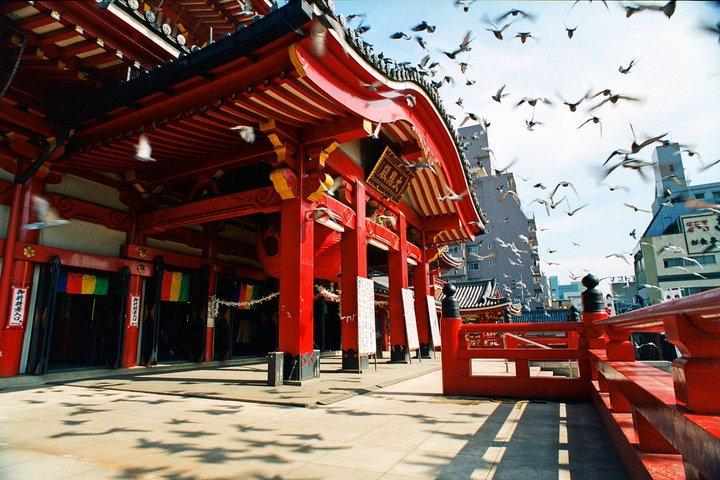Excursión de un día a Nagoya desde Osaka
