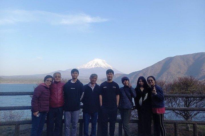 Fuji Forest Half-Day Hike with Nature Guide & Transfer