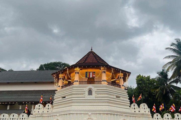 Kandy City Tour by Tuk Tuk Temples Tea and Culture