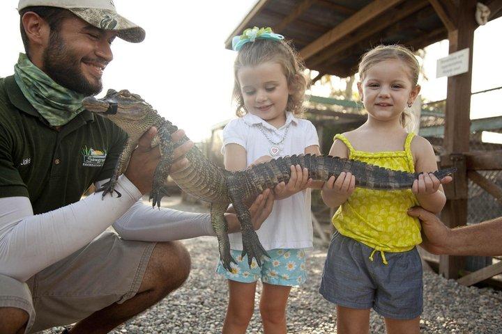 Miami Combo: Everglades Adventure and Sightseeing Tour