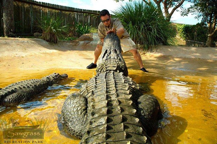 Miami Combo: Everglades Adventure and Sightseeing Tour