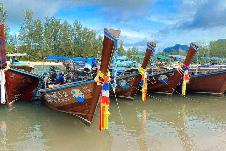 Excursión privada a Hong Kong en barco de cola larga