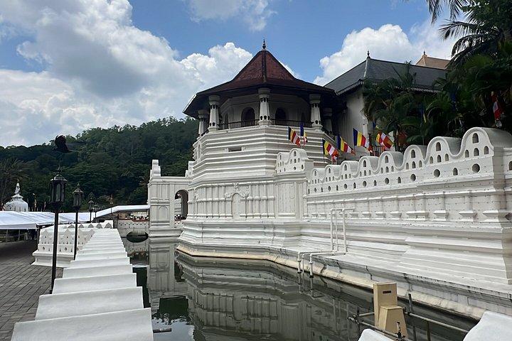 10 - Day Ultimate Sri Lanka Tour : シギリヤ、キャンディ、エラ、ゴール