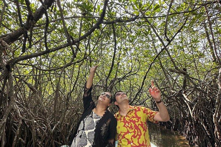 10 - Day Ultimate Sri Lanka Tour : シギリヤ、キャンディ、エラ、ゴール