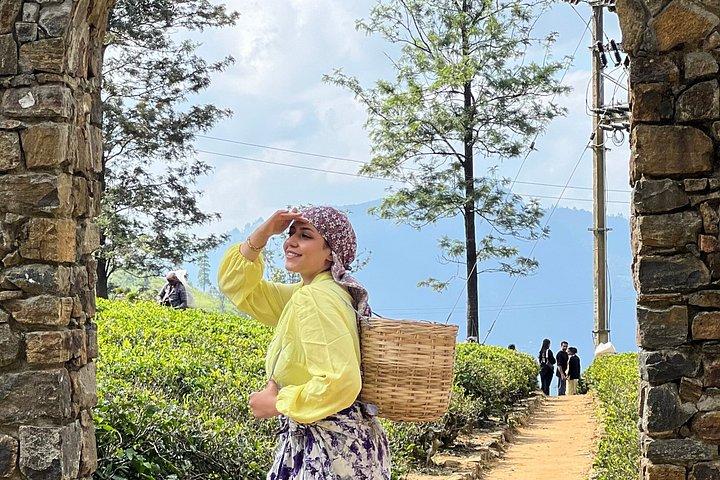 キャンディーからエラまで車で観光列車の旅ナヌオヤから