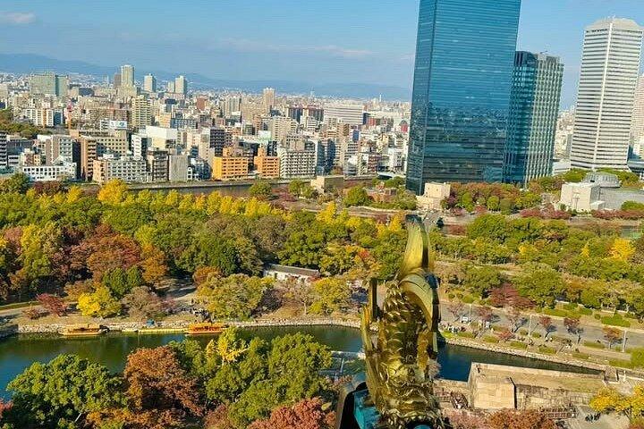 Osaka Private local Tour with Castle & Local Temple